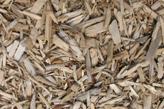 biomass boilers Brandwood