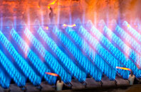 Brandwood gas fired boilers